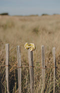 Millie Scrunchie - Lime & Petal - S